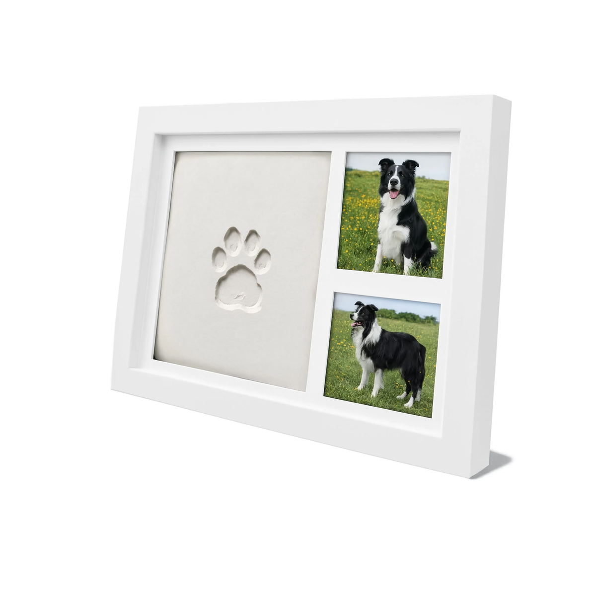 Kit De Huellas Para Mascotas